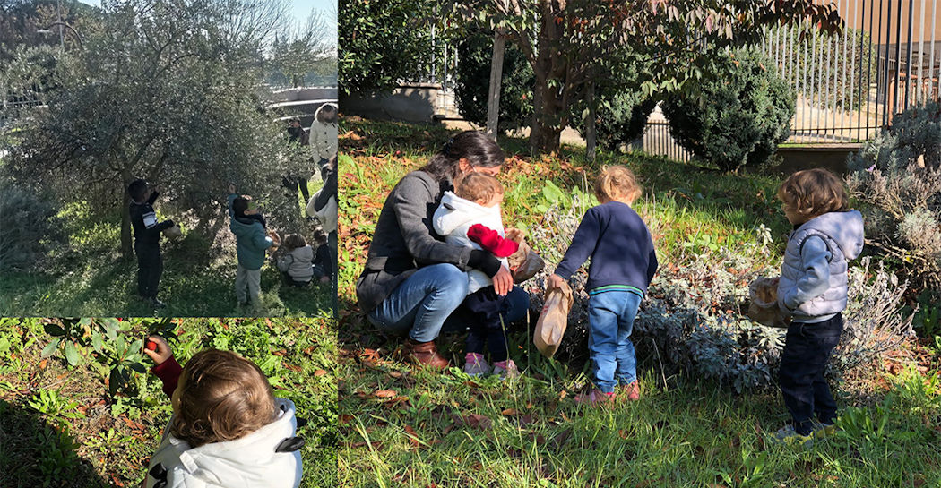 Bambini e adulti raccolgono olive, corbezzoli ed erbe aromatiche nel “Giardino Pleistocenico” del Museo di Casal de’ Pazzi